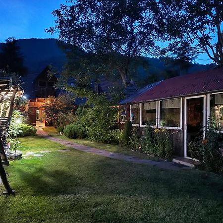 Casa De Vacanta Vidrighin Rau Sadului Exterior foto