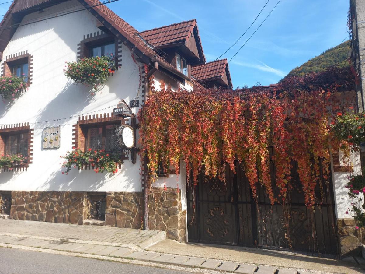 Casa De Vacanta Vidrighin Rau Sadului Exterior foto