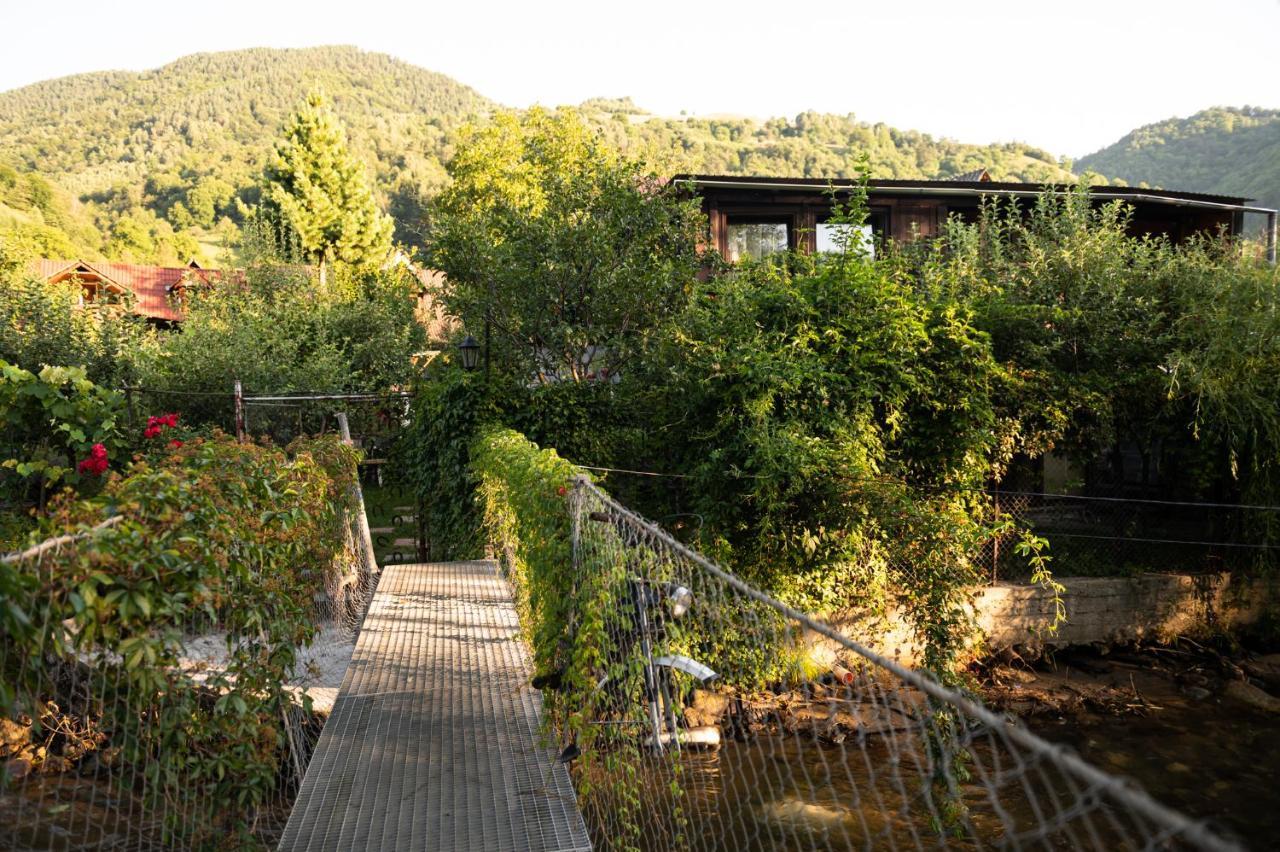 Casa De Vacanta Vidrighin Rau Sadului Exterior foto