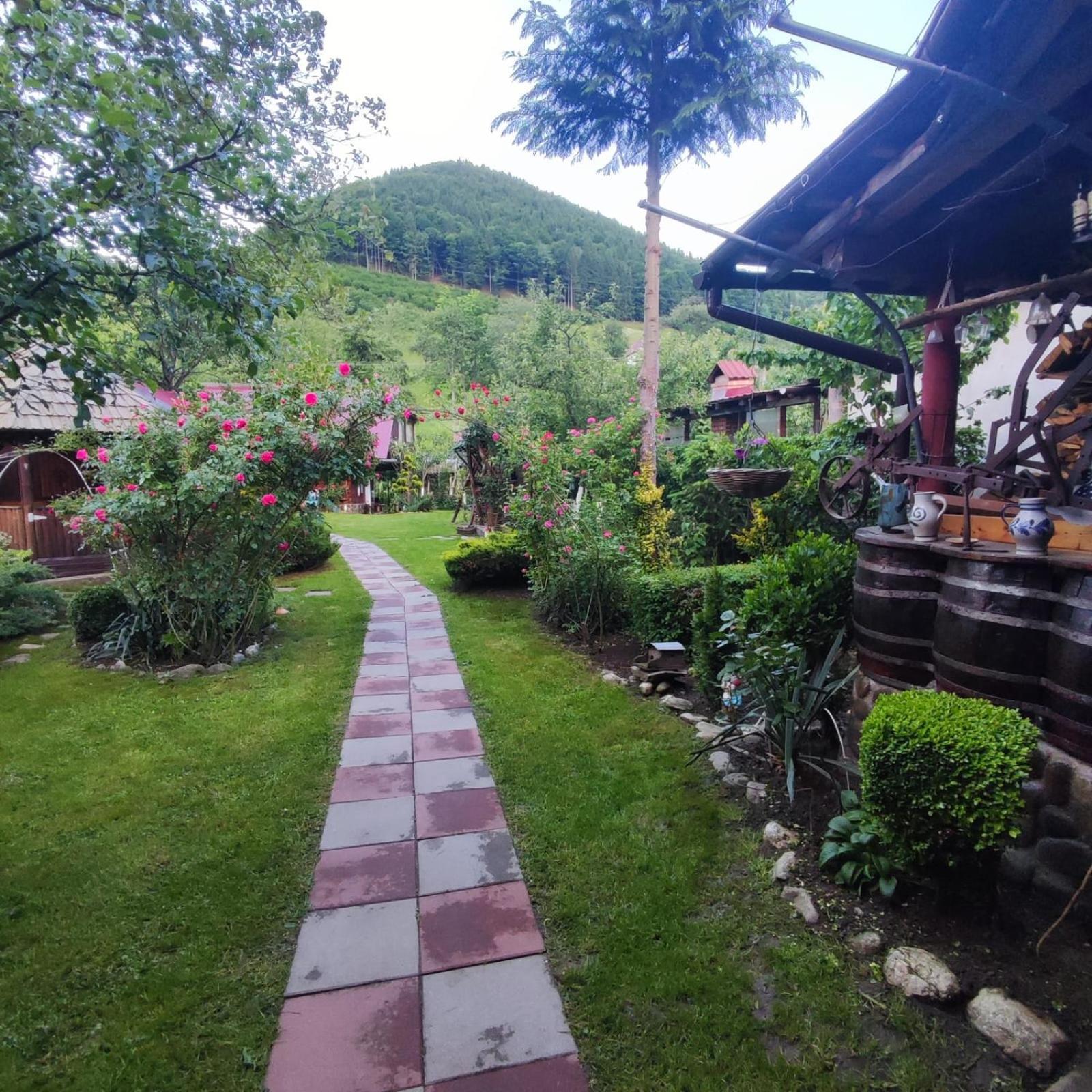 Casa De Vacanta Vidrighin Rau Sadului Zimmer foto