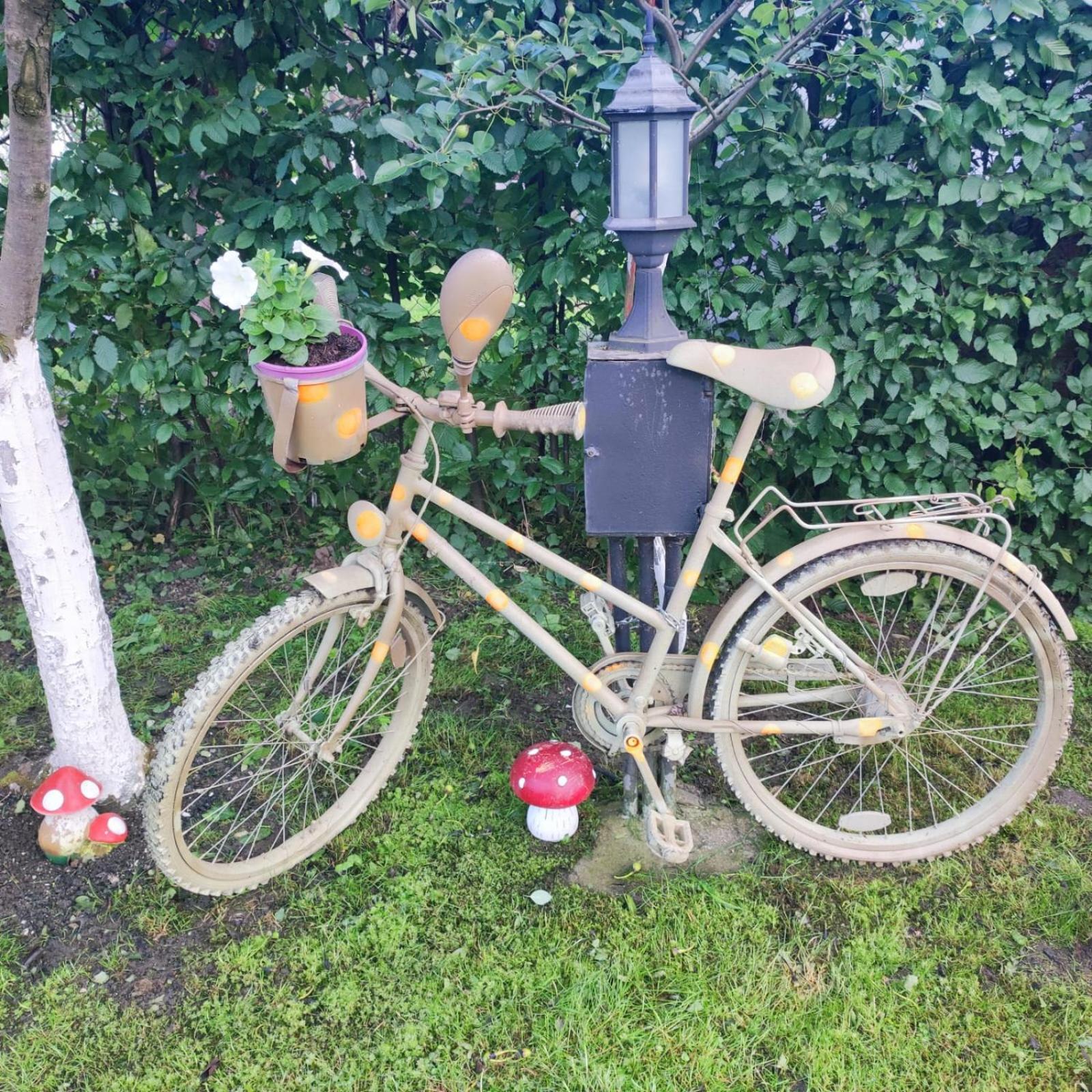 Casa De Vacanta Vidrighin Rau Sadului Zimmer foto