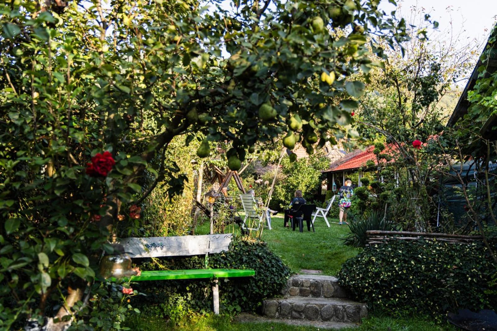 Casa De Vacanta Vidrighin Rau Sadului Zimmer foto