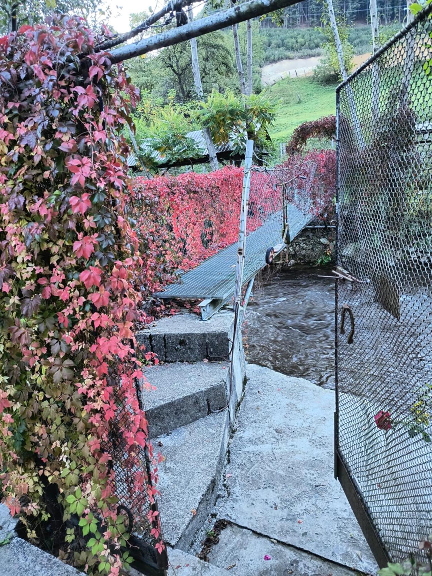Casa De Vacanta Vidrighin Rau Sadului Zimmer foto