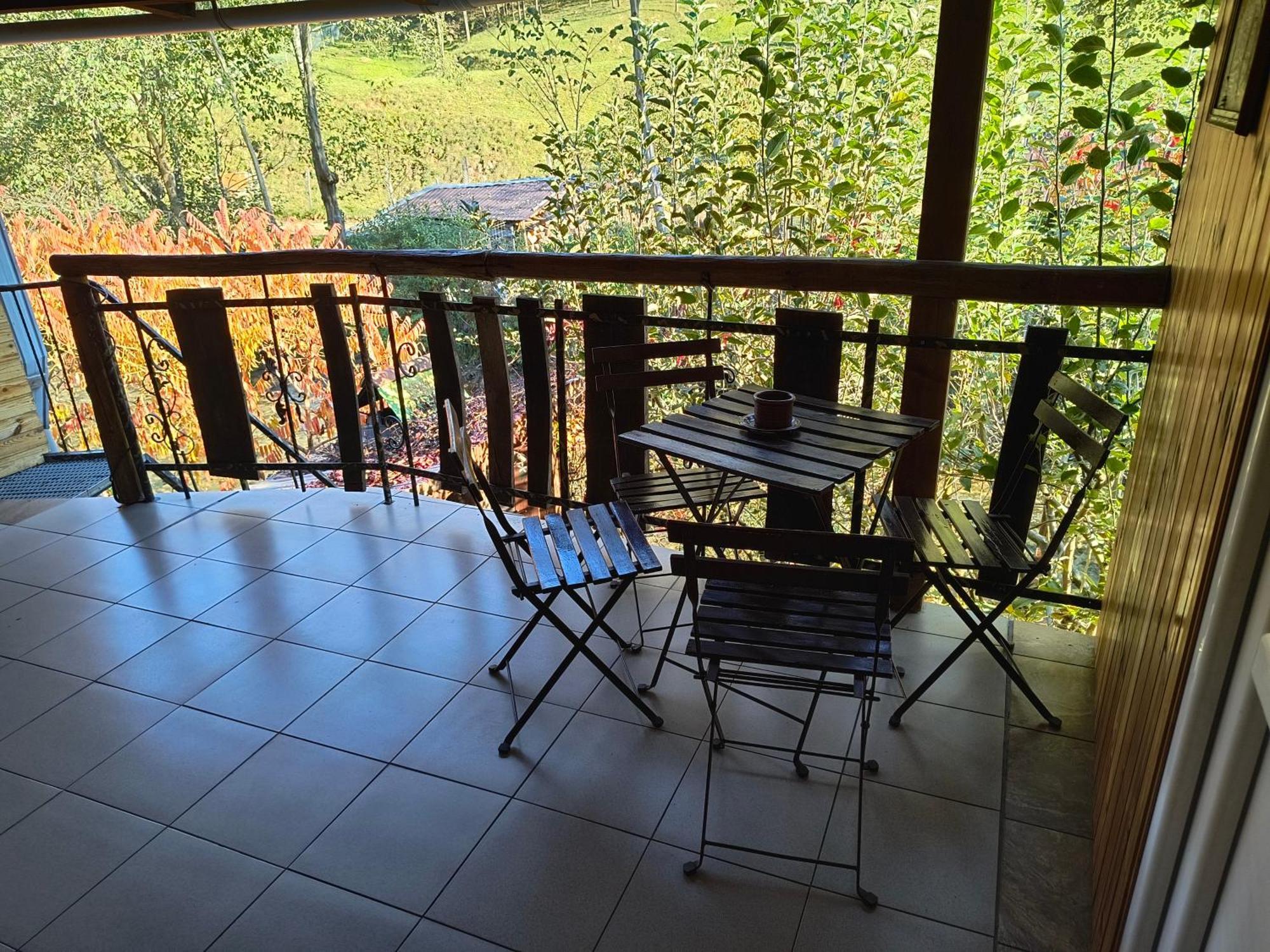 Casa De Vacanta Vidrighin Rau Sadului Zimmer foto