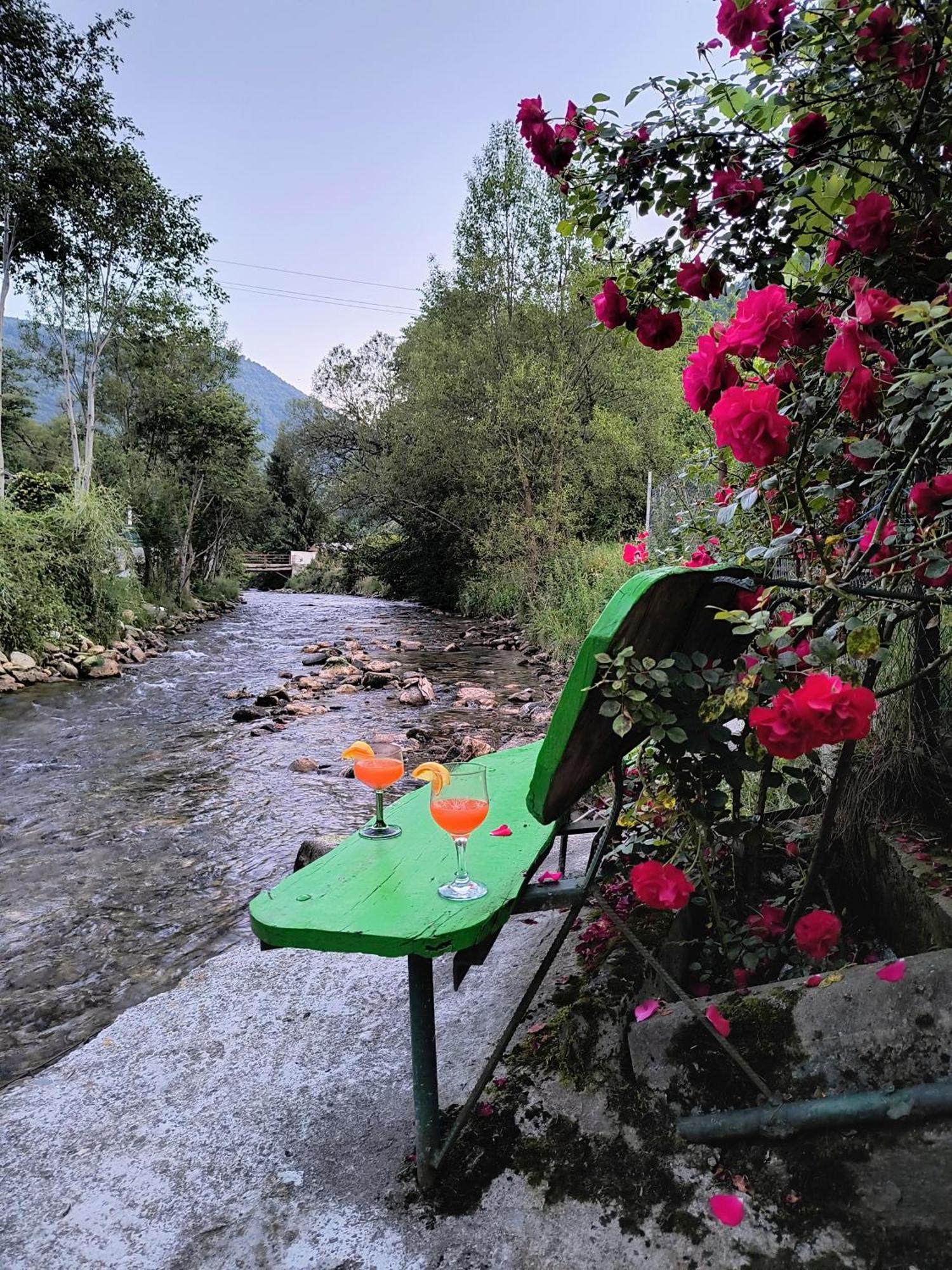 Casa De Vacanta Vidrighin Rau Sadului Zimmer foto