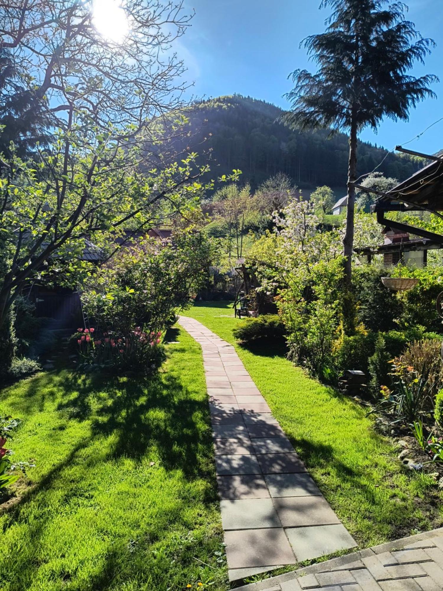 Casa De Vacanta Vidrighin Rau Sadului Exterior foto